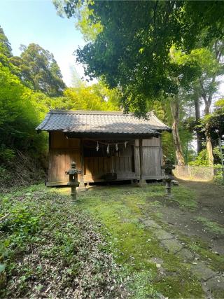 玉崎神社の参拝記録(ねこチャリさん)