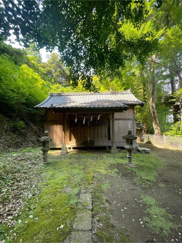 千葉県東金市田間2234番地 玉崎神社の写真2
