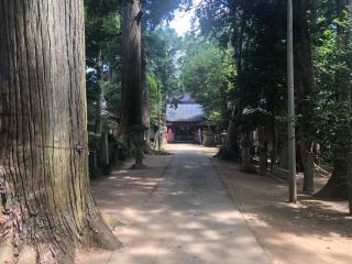 日吉神社の参拝記録(コバルトブルーさん)