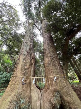 日吉神社の参拝記録(ひめさん)