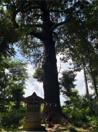 日吉神社の参拝記録(ゆうさん)