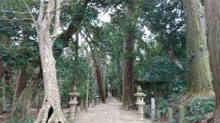 日吉神社の参拝記録(ゆっこさん)