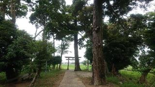 熊野神社の参拝記録(おがおが1262さん)