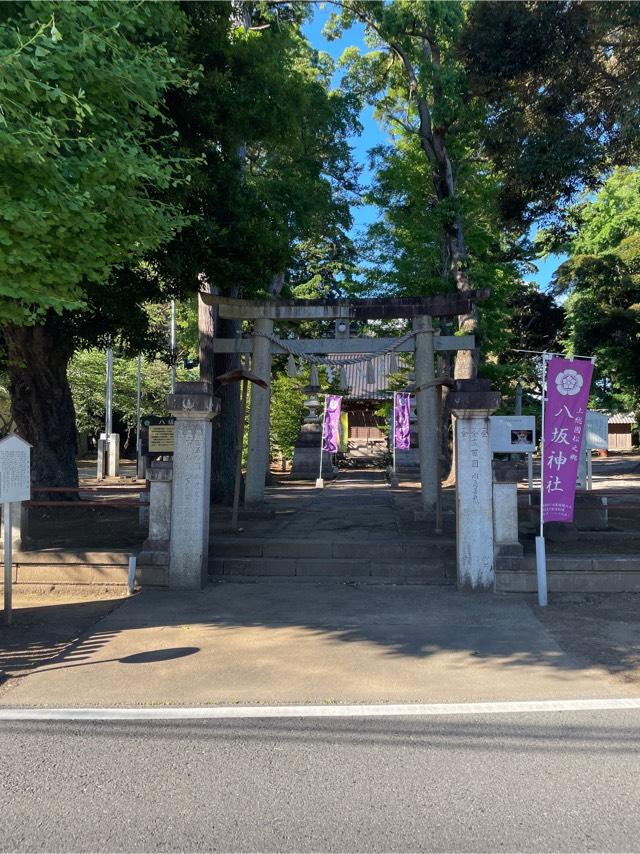 千葉県東金市松之郷1269番地 八坂神社の写真2