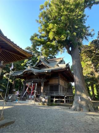 八坂神社の参拝記録(ねこチャリさん)