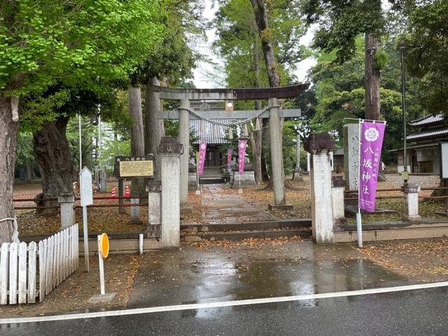 八坂神社の参拝記録8