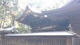佐原諏訪神社の参拝記録(ステイさん)