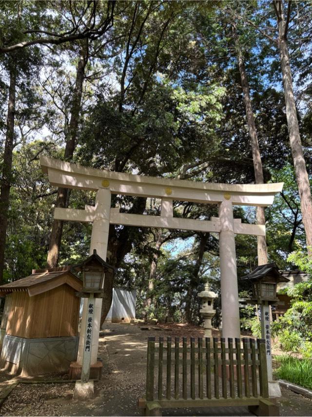 佐原諏訪神社の参拝記録4