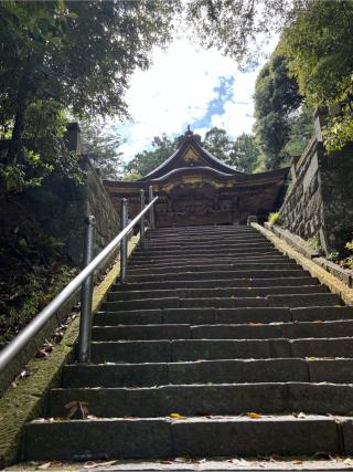 佐原諏訪神社の参拝記録(おさちさん)