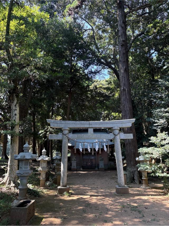 天宮神社の写真1