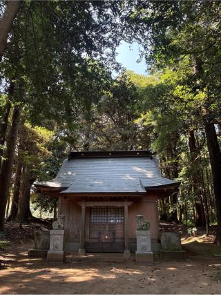 天宮神社の参拝記録(ねこチャリさん)