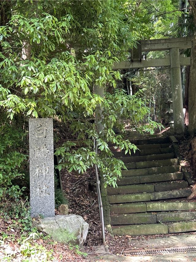 千葉県香取市大崎1971番地 白幡神社の写真1