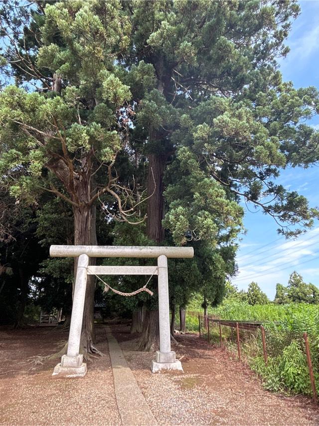 千葉県香取市観音306番地 熊野神社の写真1