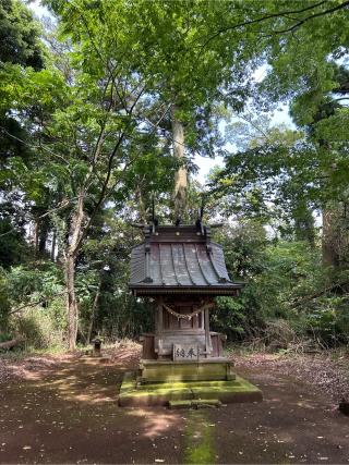 熊野神社の参拝記録(ねこチャリさん)