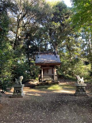 宇迦神社の参拝記録(ねこチャリさん)