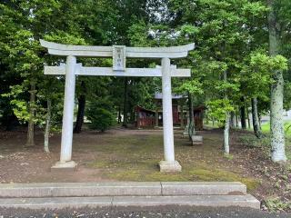 膽男神社の参拝記録(明介さん)