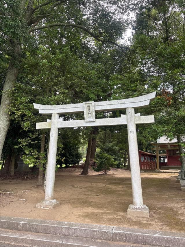 膽男神社の参拝記録1