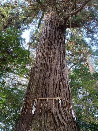 側高神社の参拝記録(ジョージ。さん)