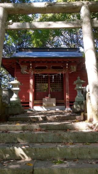 玉田神社の参拝記録(篠圭さん)