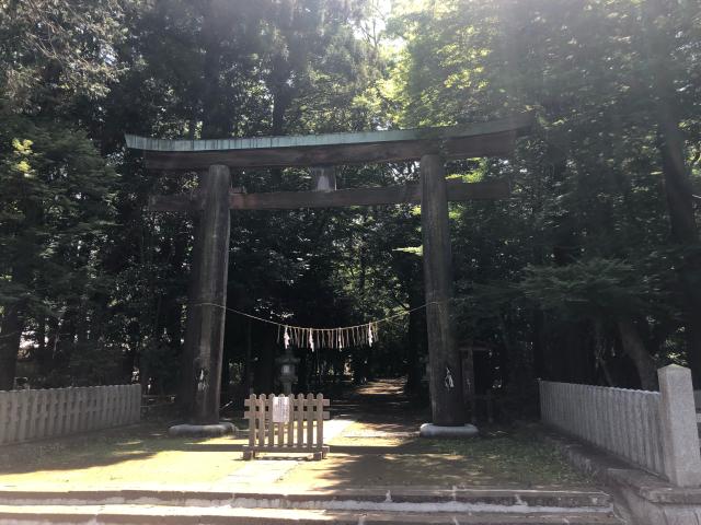 千葉県成田市名古屋898番地 小御門神社の写真4