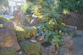 菅霊山自在院慈恩寺の参拝記録(thonglor17さん)