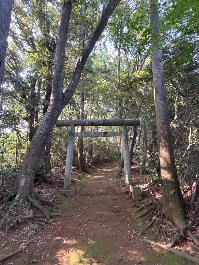 八坂神社の参拝記録1