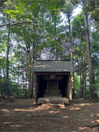 八坂神社の参拝記録(ねこチャリさん)