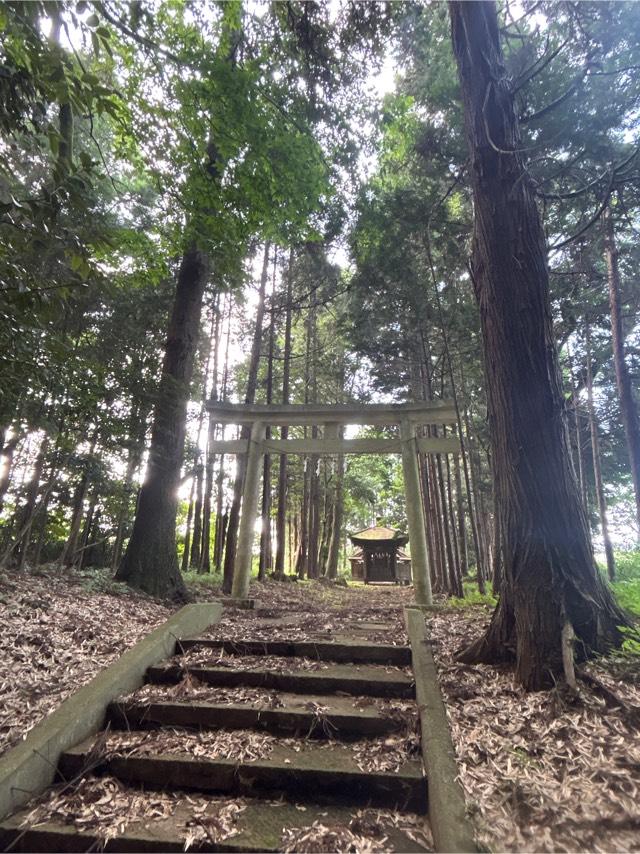 千葉県成田市青山162番地 神明神社の写真1