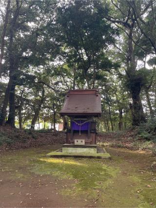 八幡神社の参拝記録(ねこチャリさん)