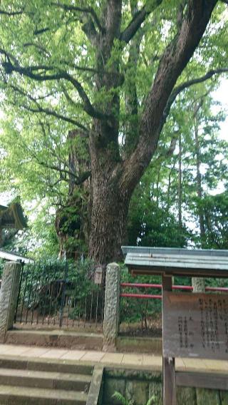 神﨑神社の参拝記録(ありさん)