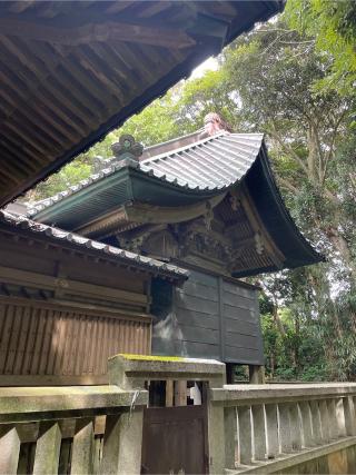 渡海神社の参拝記録(ねこチャリさん)