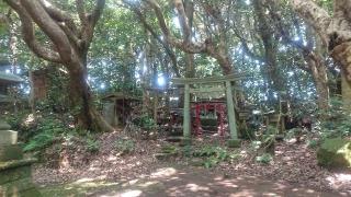 渡海神社の参拝記録(おがおが1262さん)