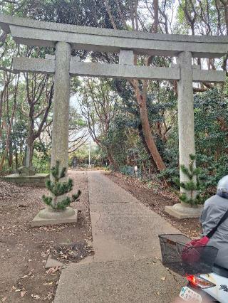 渡海神社の参拝記録(まーさんさん)