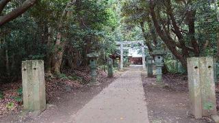 渡海神社の参拝記録(アリケンさん)