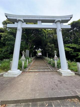 銚子川口神社の参拝記録(こーちんさん)