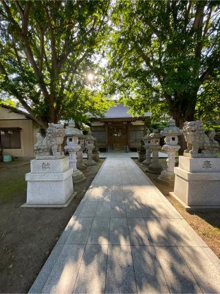 若宮八幡神社の参拝記録(ねこチャリさん)