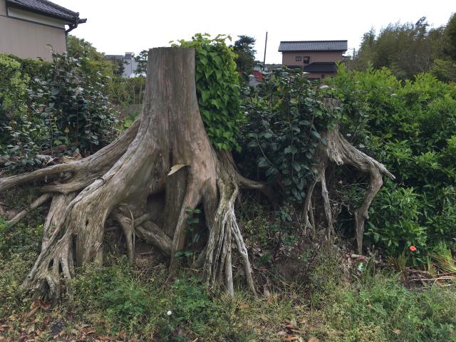 天御中神社の参拝記録3