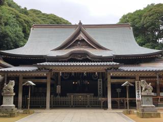 猿田神社の参拝記録(金猿さん)