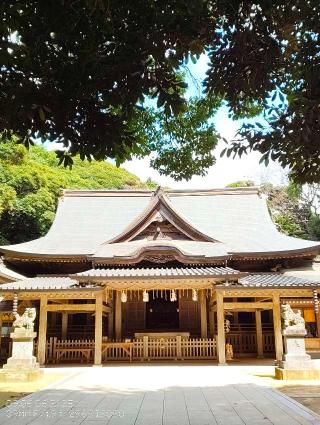 猿田神社の参拝記録(安房之国さん)