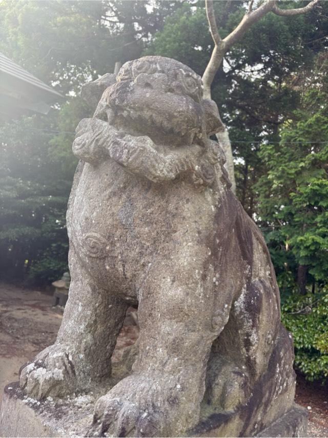 椿ノ海水神社の参拝記録9