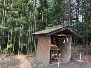 椿ノ海水神社の参拝記録(千葉犬🐶さん)