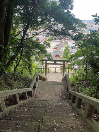 浅間神社の参拝記録(ねこチャリさん)