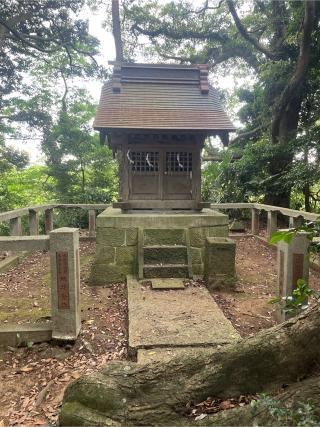 浅間神社の参拝記録(ねこチャリさん)