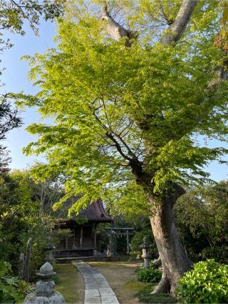 熊野神社の参拝記録(ねこチャリさん)