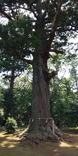 松山神社の参拝記録(パスカルさん)