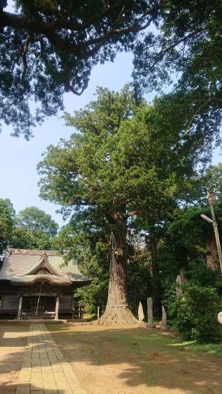 松山神社の参拝記録(おがおが1262さん)
