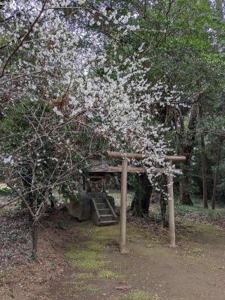 松山神社の参拝記録(はしどいさん)