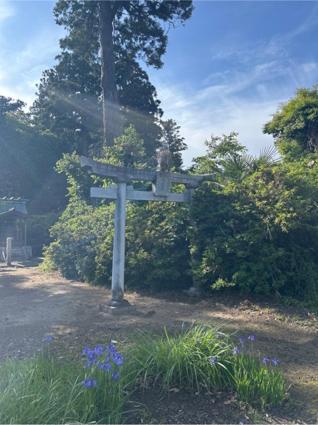 熊野神社の写真1