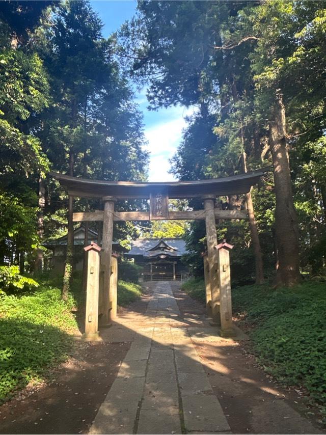 千葉県匝瑳市吉田4009番地 熊野神社の写真2
