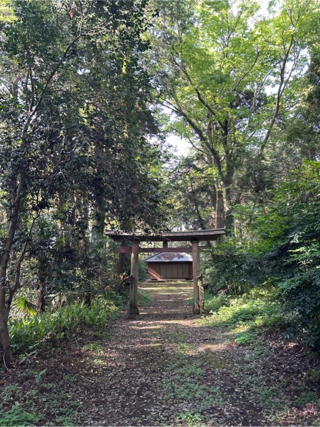 稻荷神社の参拝記録1